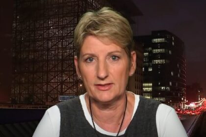 anne gellinek krankheit
